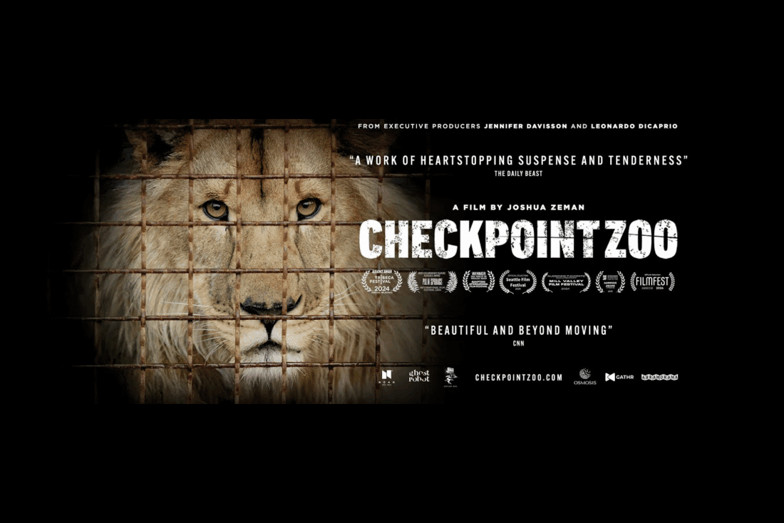 Documentary CheckPoint Zoo Captures the Plight of Animals in Ukraine